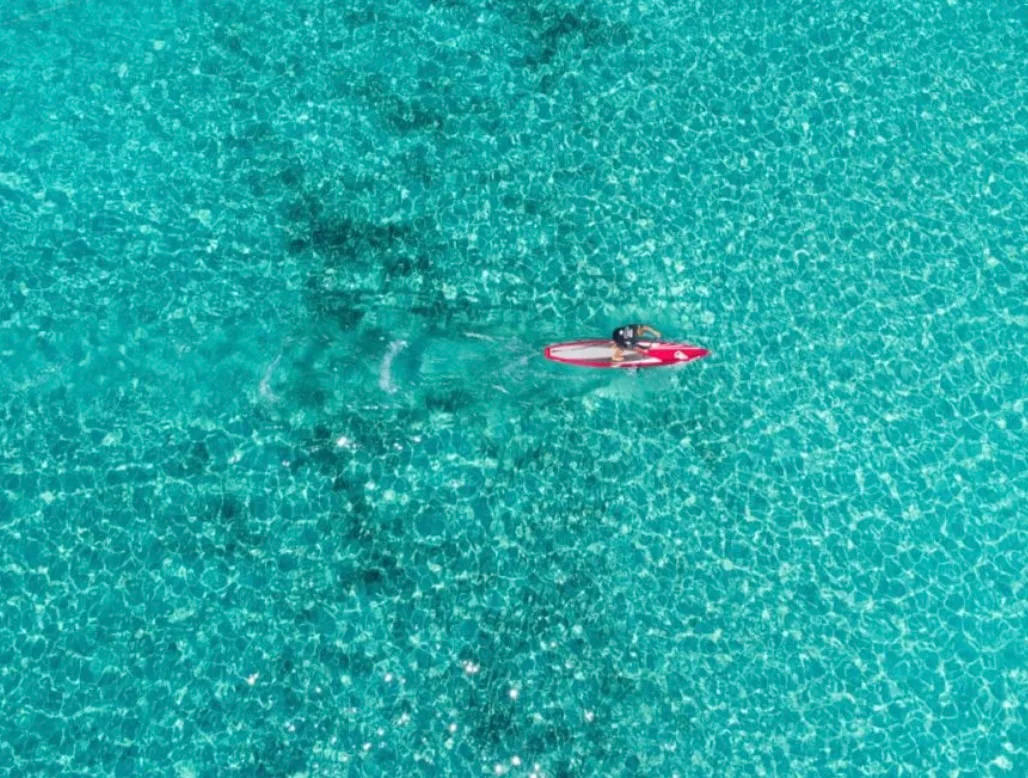 SUP, Surf, E-Foil e Wing Foil — Locals Crew